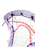Powell Alula Women's Head