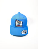 Hats- Trucker Style