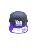 Hats- Flat Bill Snapback