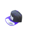 Hats- Flat Bill Snapback