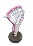 Powell Alula Women's Head