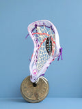 Powell Alula Women's Head