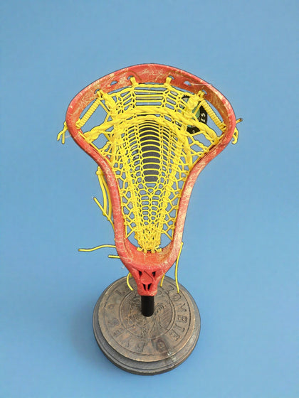 Powell Alula Women's Head