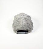Hats- Flexfit Snapback